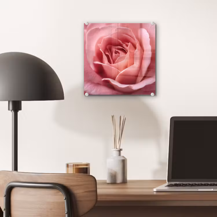 Glas schilderij - Roze - Roos - Romantisch — 7