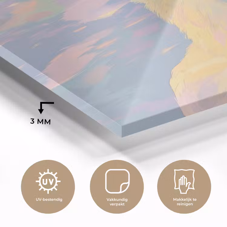 Glas schilderij - Eend - Zonnebril - Water — 3