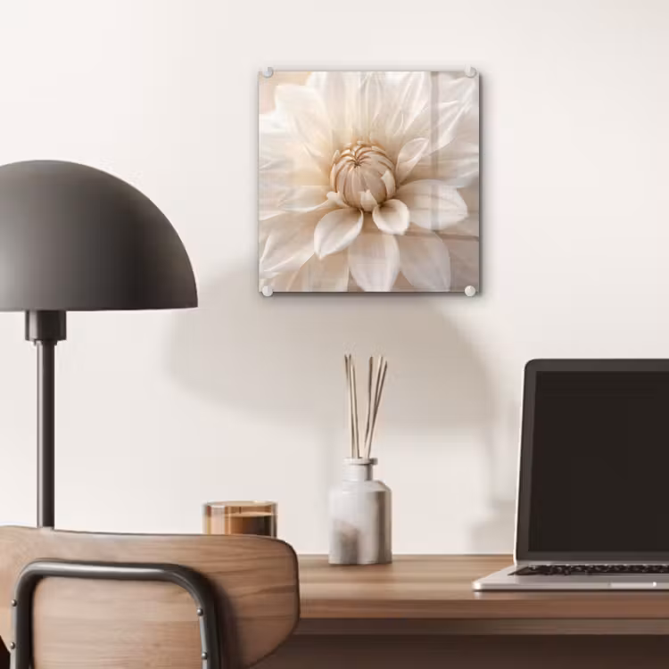 Glas schilderij - Bloem - Dahlia - Wit — 7
