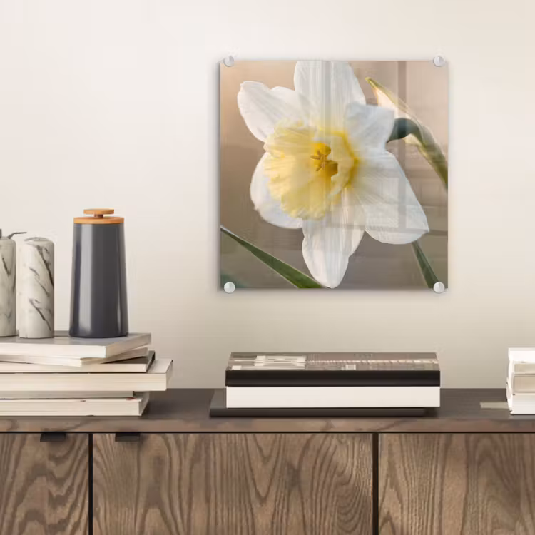 Glas schilderij - Narcis - Bloem - Minimalistisch — 2