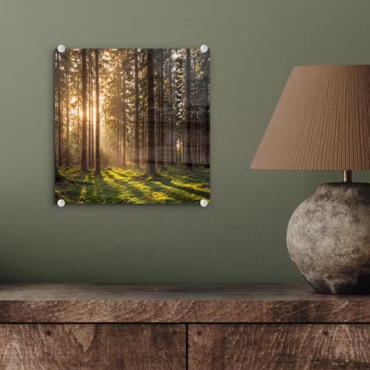 Glas schilderij - Bos - Gras - Zonlicht — 4