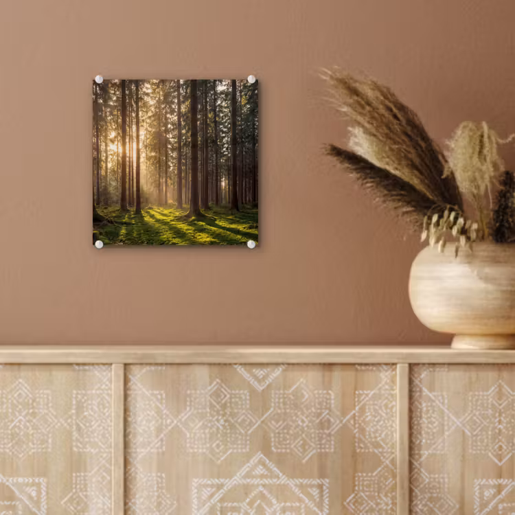 Glas schilderij - Bos - Gras - Zonlicht — 6