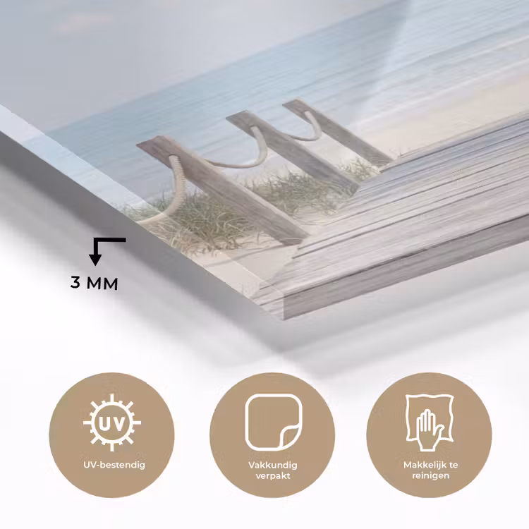Glas schilderij - Palmbomen - Pad - Horizon — 3