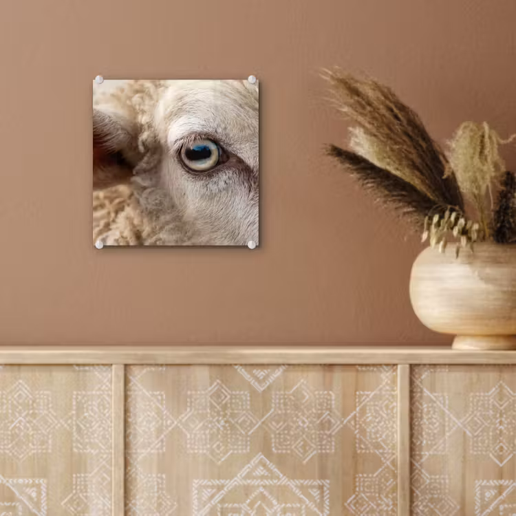 Glas schilderij - Schaap - Oog - Wit — 6