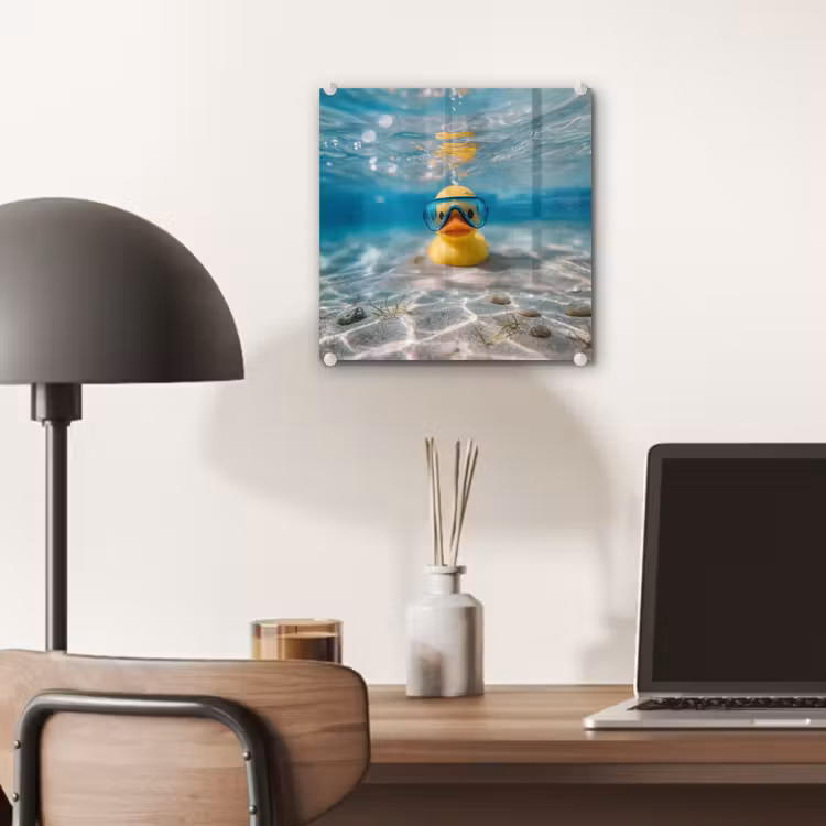 Glas schilderij - Duikbril - Eend - Water — 7