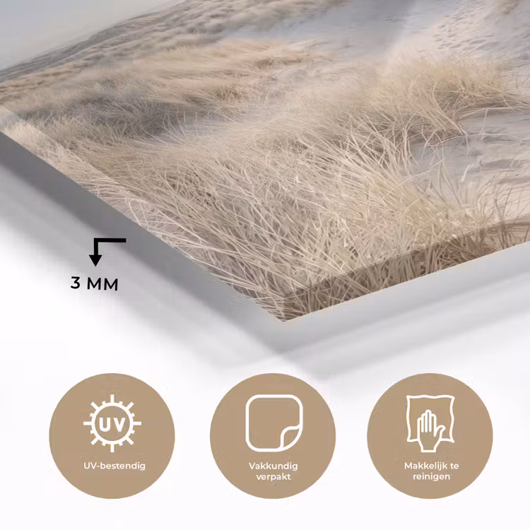 Glas schilderij - Duinen - Strand - Beige — 3