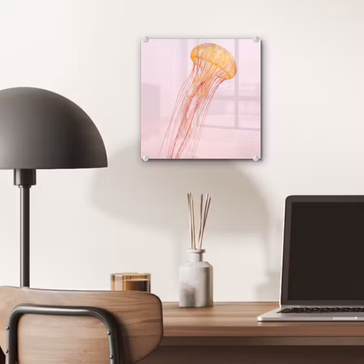 Glas schilderij - Sierlijk - Kwal - Roze — 7