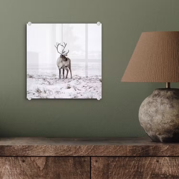 Glas schilderij - Rendier - Gewei - Sneeuw - Winter — 4