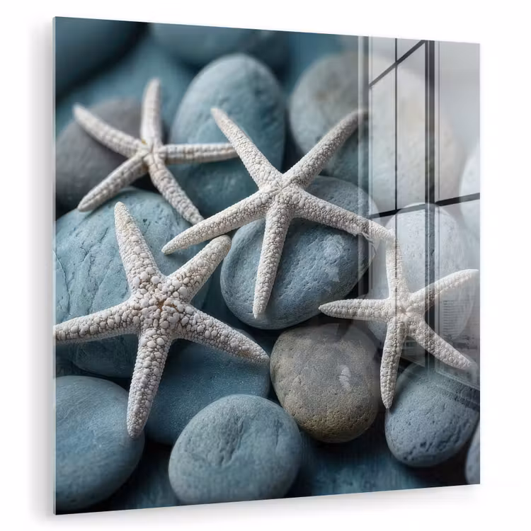 Glas schilderij - Zeesterren - Stenen - Wit — 1