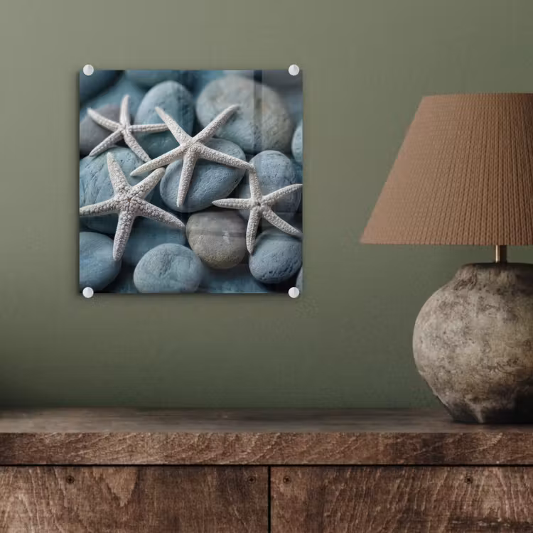 Glas schilderij - Zeesterren - Stenen - Wit — 4