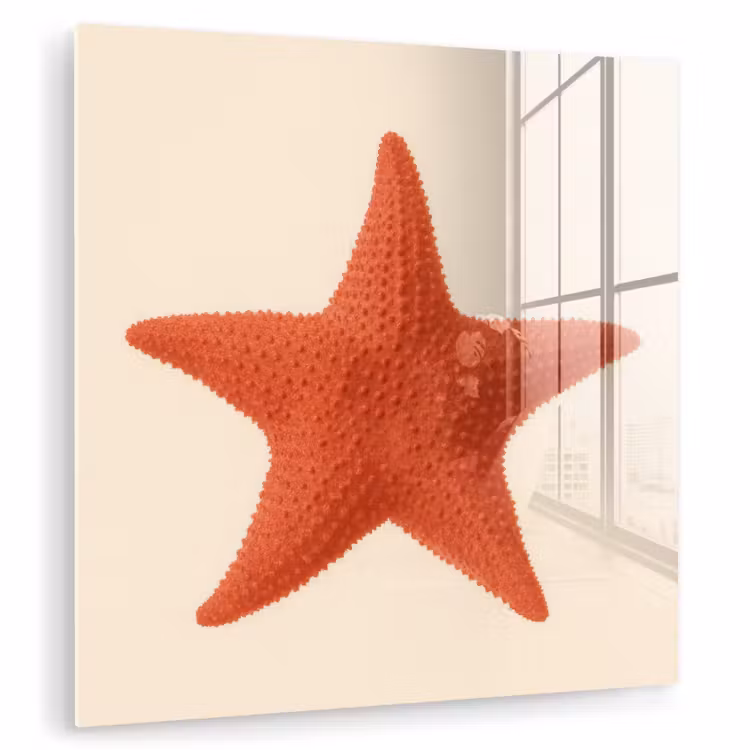 Glas schilderij - Zeester - Bobbels - Rood — 1