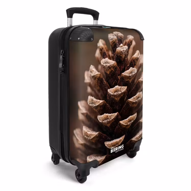 Koffer - Dennenappel - Bos - Herfst - Bruin - Sfeervol — 4