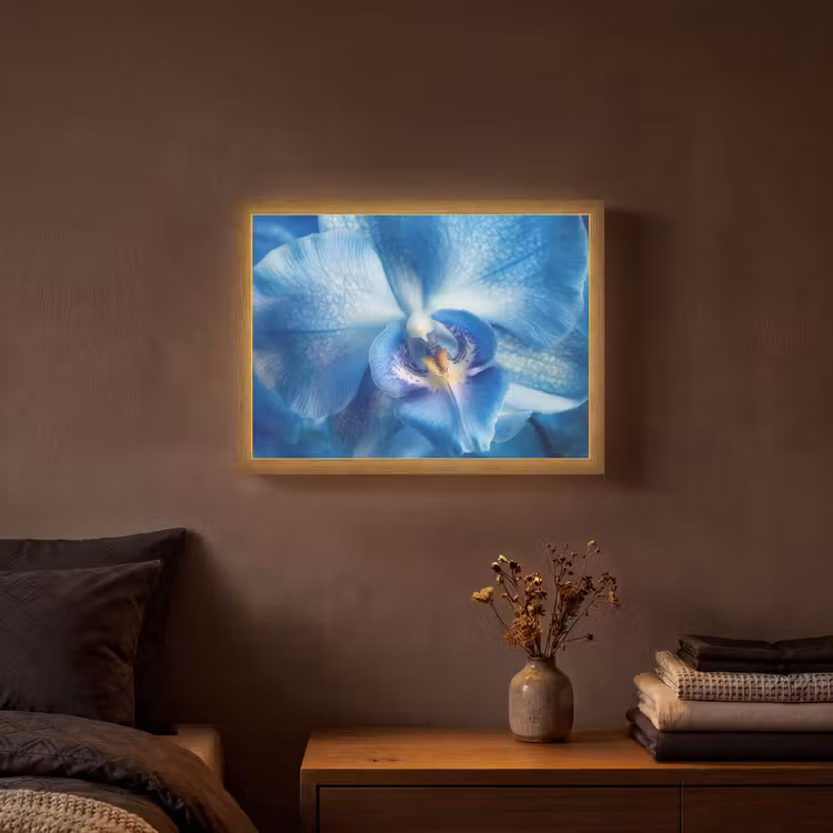 Lightbox - Wandlamp - Blauw - Orchidee - Elegeant — 3