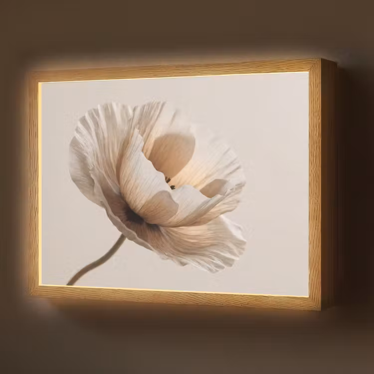 Lightbox - Wandlamp - Bloem - Beige - Crème — 1