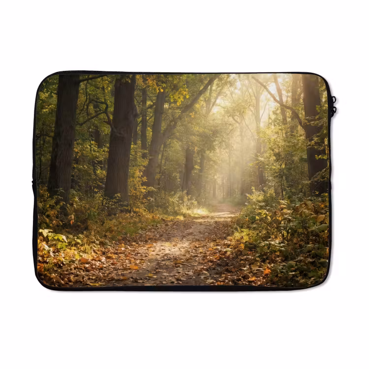 Laptophoes - Zonlicht - Bospad - Bomen — 3