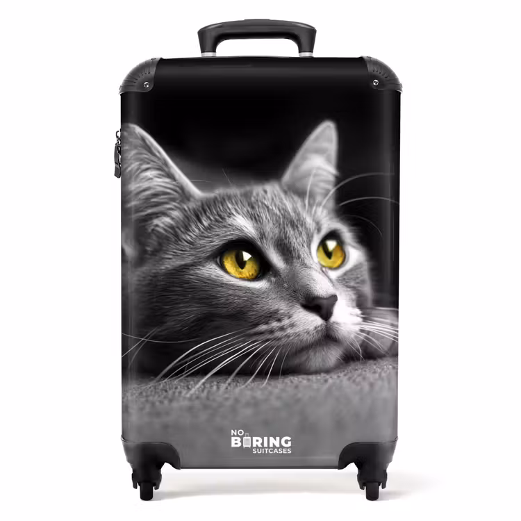 Koffer - Zwart witte kat met gele ogen — 1