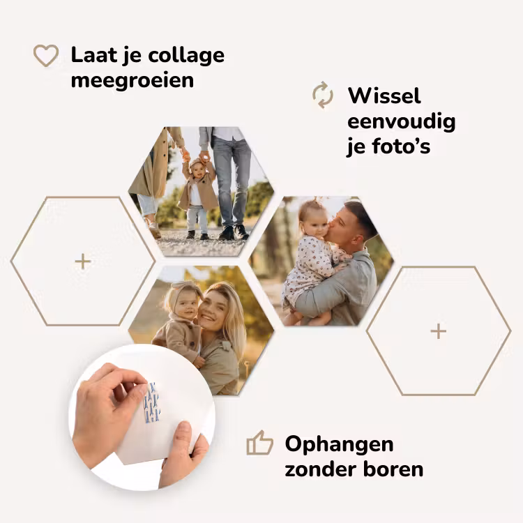 Hexagon — 4