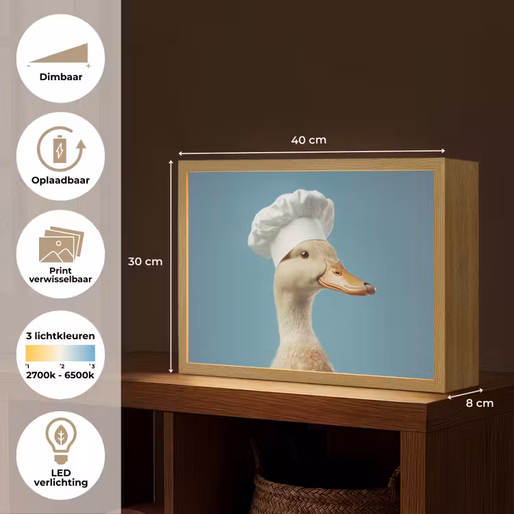 Lightbox - Wandlamp - Eend - Koksmuts - Cute - Vogel — 10