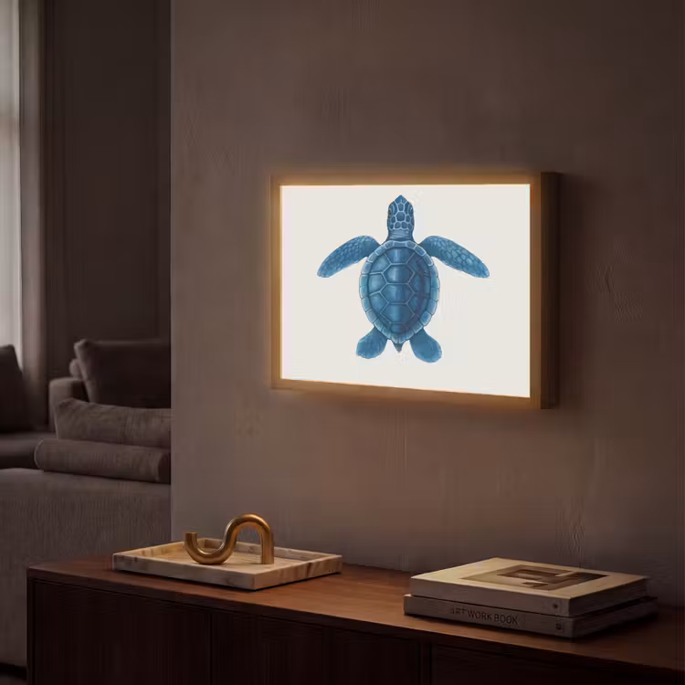 Lightbox - Wandlamp - Schildpad - Blauw - Schild — 2