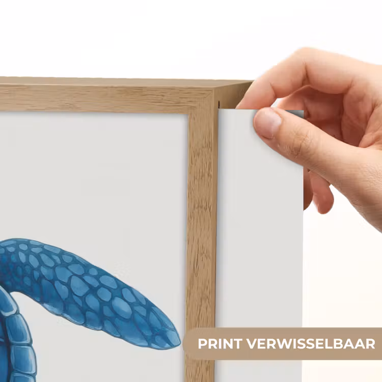 Lightbox - Wandlamp - Schildpad - Blauw - Schild — 5