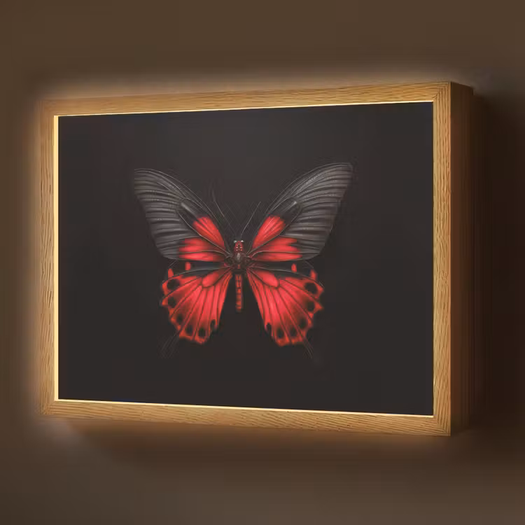 Lightbox - Wandlamp - Vlinder - Rood - Contrast — 1