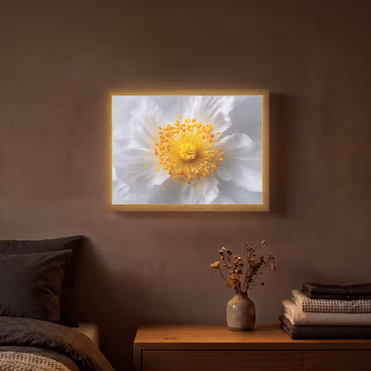 Lightbox - Wandlamp - Wit - Bloem - Elegant — 3