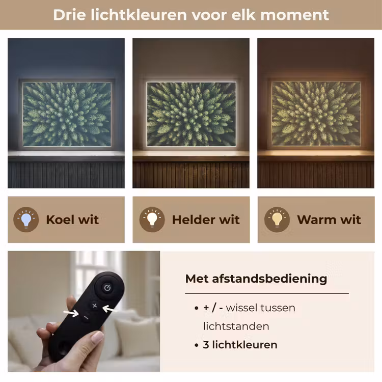 Lightbox - Wandlamp - Bomen - Naaldwoud - Structuur — 8