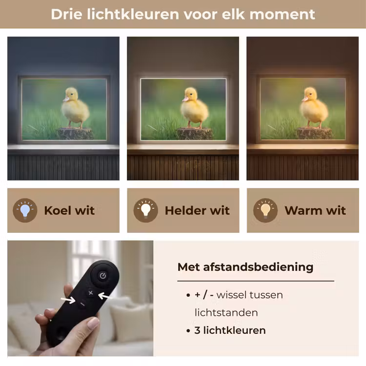 Lightbox - Wandlamp - Kuiken - Eend - Geel - Gras — 8