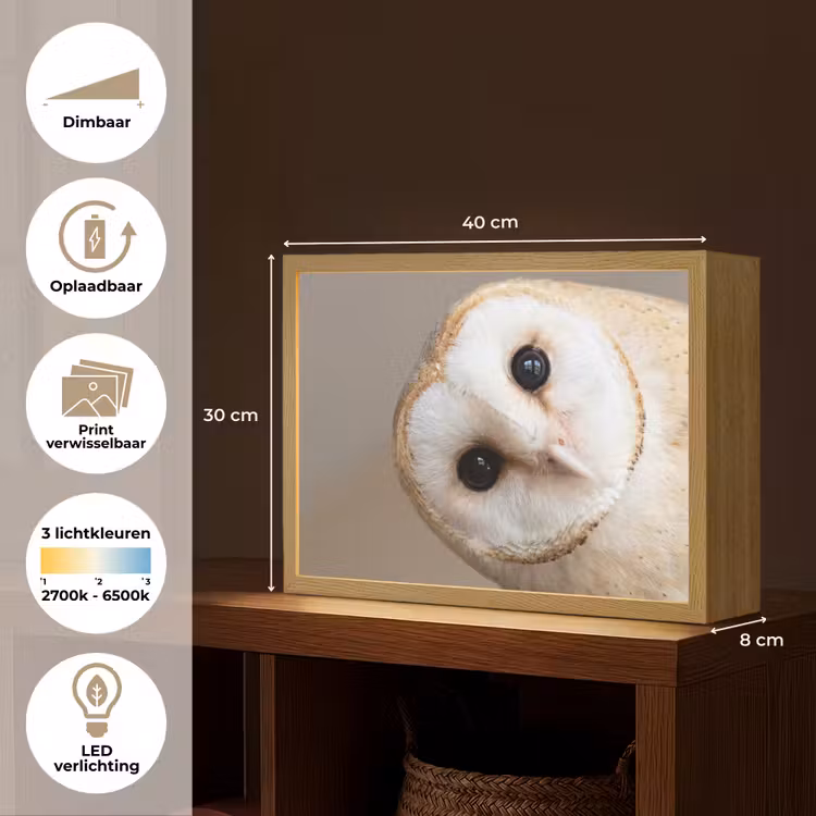 Lightbox - Wandlamp - Uil - Bruin - Wit — 10