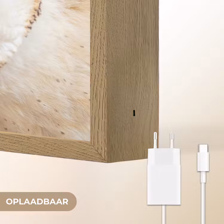 Lightbox - Wandlamp - Uil - Bruin - Wit — 7