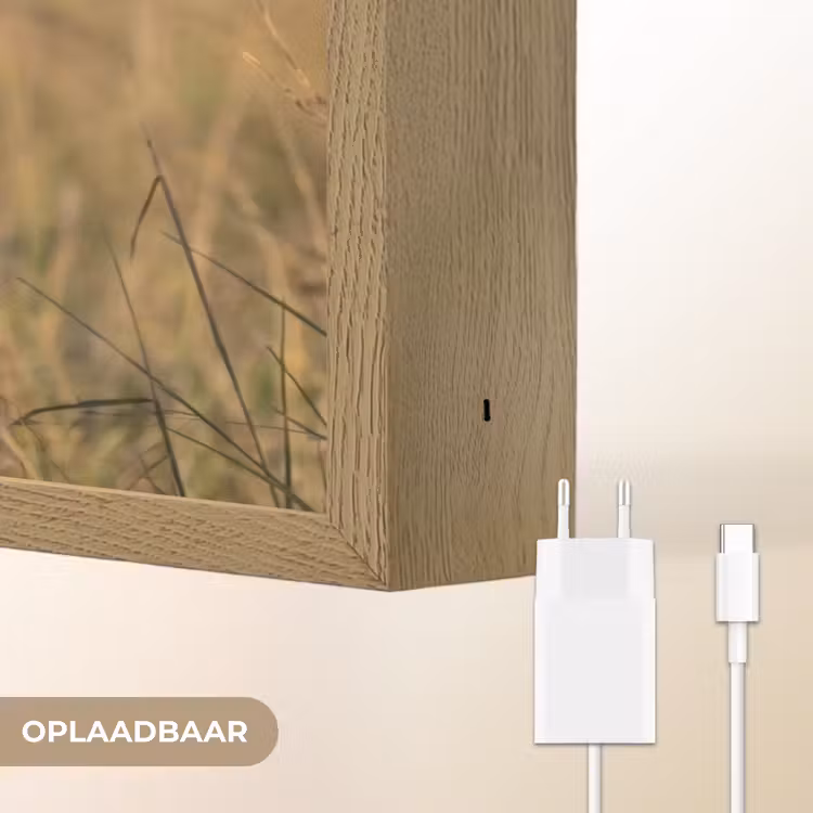 Lightbox - Wandlamp - Leeuwin - Gras - Geel — 7