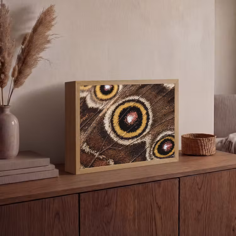 Lightbox - Wandlamp - Vlinder - Vleugel - Abstract — 4