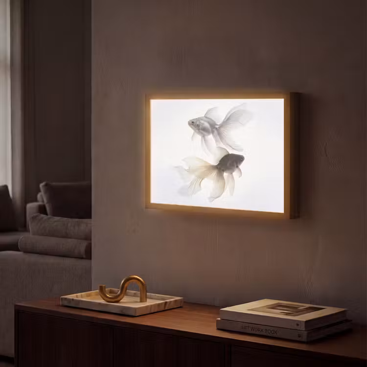 Lightbox - Wandlamp - Goudvissen - Modern - Wit — 2