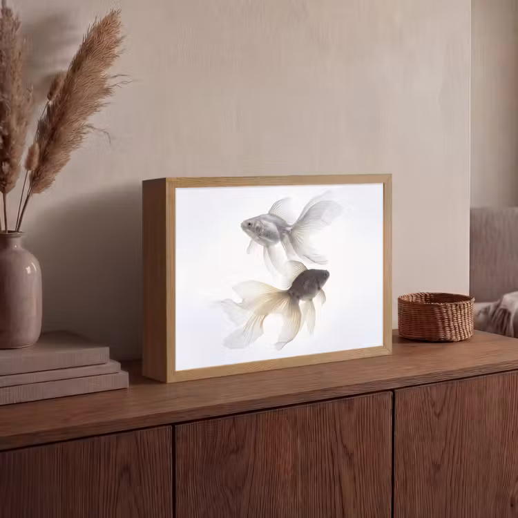 Lightbox - Wandlamp - Goudvissen - Modern - Wit — 4