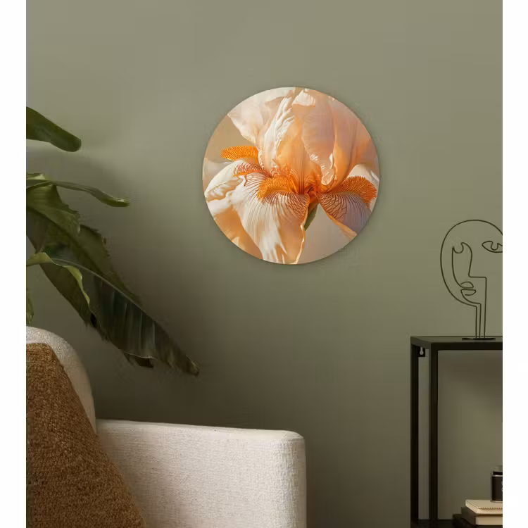 Muurcirkel - Close up - Oranje - Iris — 3