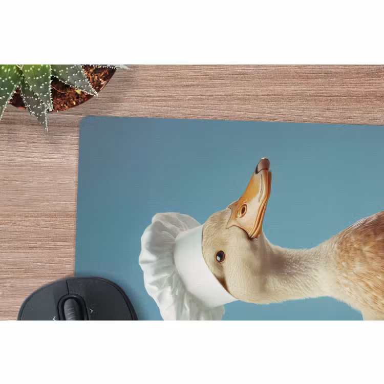 Muismat - Eend - Koksmuts - Cute - Vogel — 5