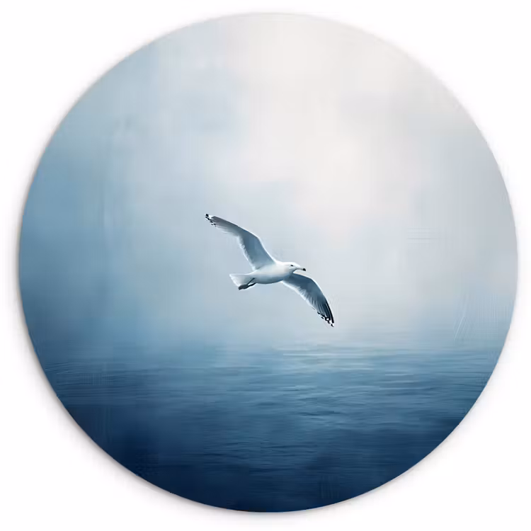 Muurcirkel - Meeuw - Wit - Zee - Mistig — 1