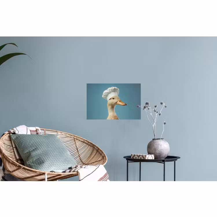 Muursticker - Eend - Koksmuts - Cute - Vogel — 4