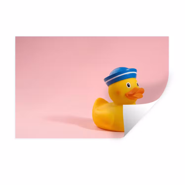 Muursticker - Matroos - Eend - Roze — 1