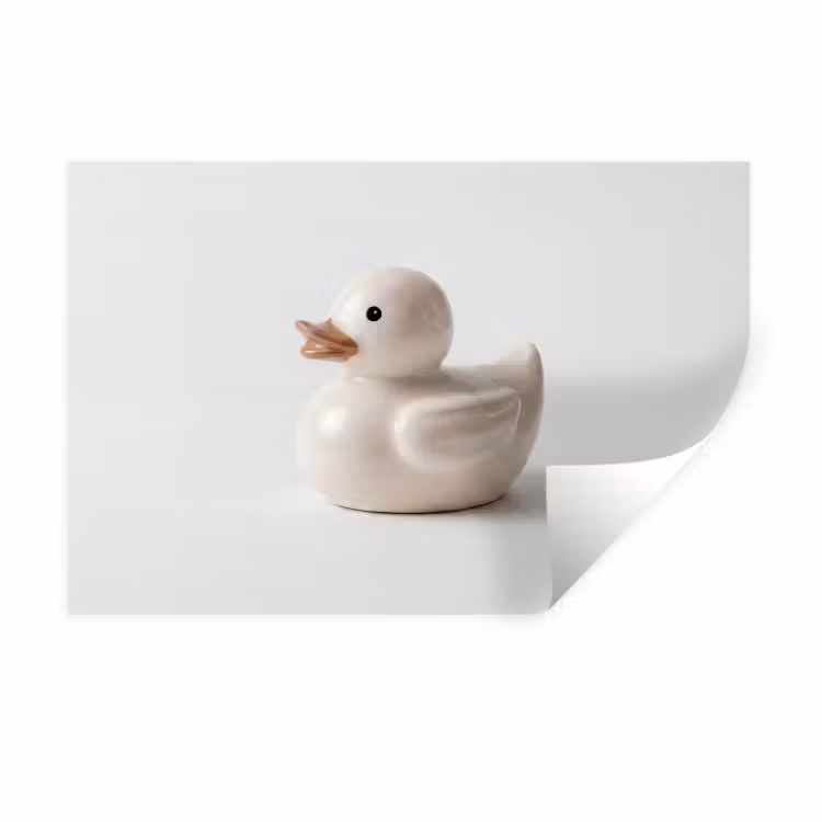 Muursticker - Badeend - Minimalistisch - Wit — 1