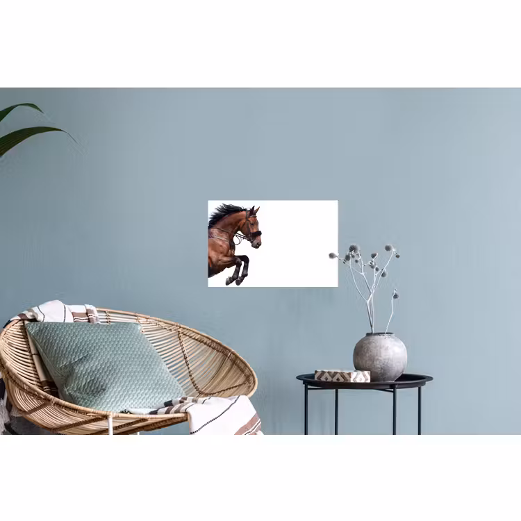 Muursticker - Paard - Springen - Modern — 4