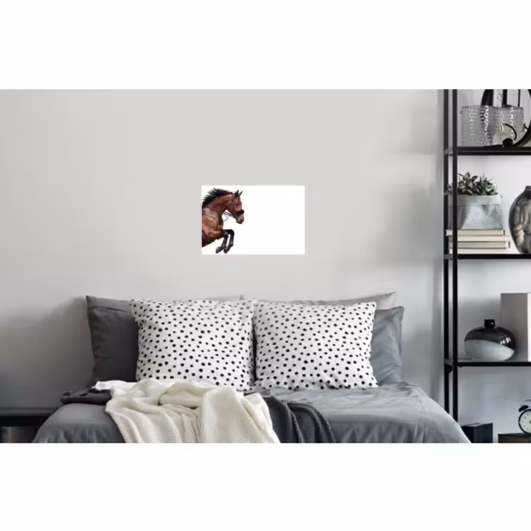 Muursticker - Paard - Springen - Modern — 5