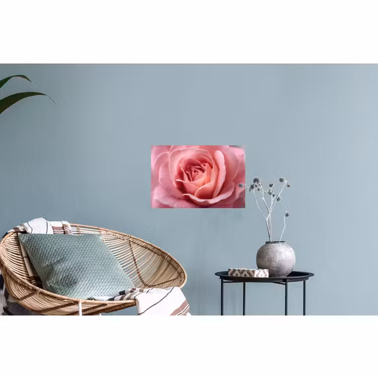 Muursticker - Roze - Roos - Romantisch — 4