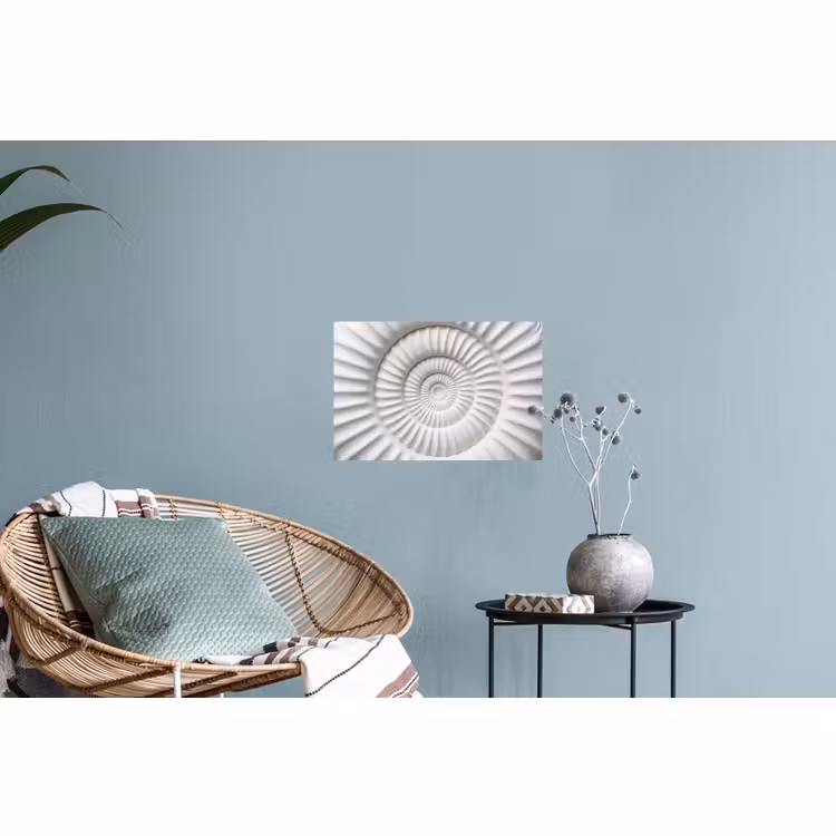 Muursticker - Schelp - Spiraal - Wit — 4