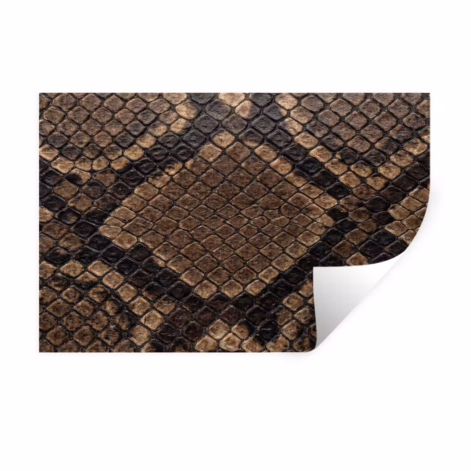 Muursticker - Python - Schubben - Brons — 1