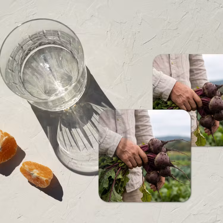 Onderzetter​ - Bieten - Vers - Moestuin — 2