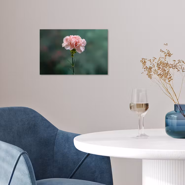 Poster - Anjer - Roze - Bloemblaadjes — 4