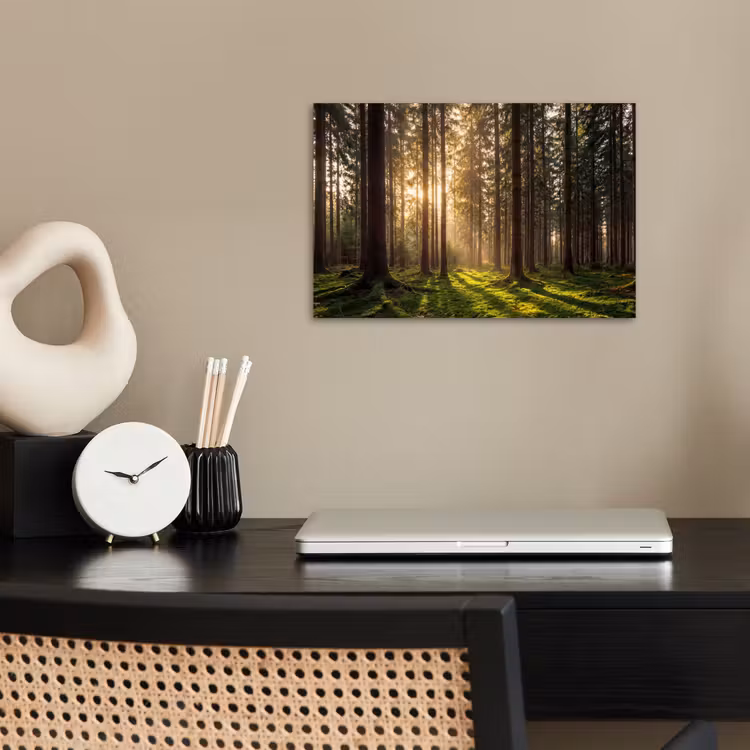 Poster - Bos - Gras - Zonlicht — 2