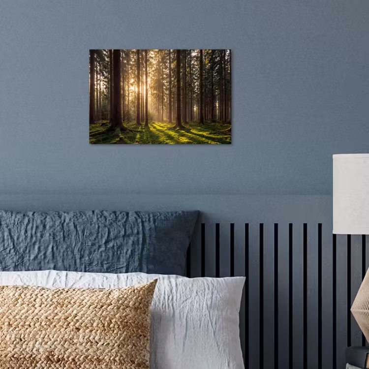 Poster - Bos - Gras - Zonlicht — 3