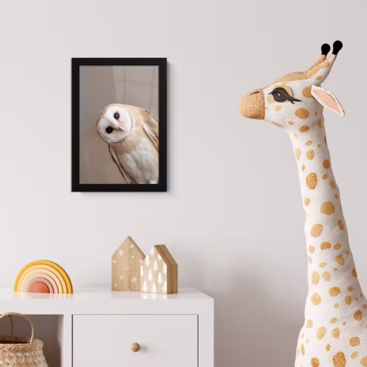 Poster met lijst - Uil - Bruin - Wit — 5